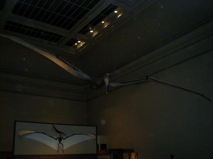 Pterydactyls<br>Location: <a href="https://www.google.com/maps/search/?api=1&query=38.89096,-77.02601" target="_new">Smithsonian National Museum of Natural History</a>